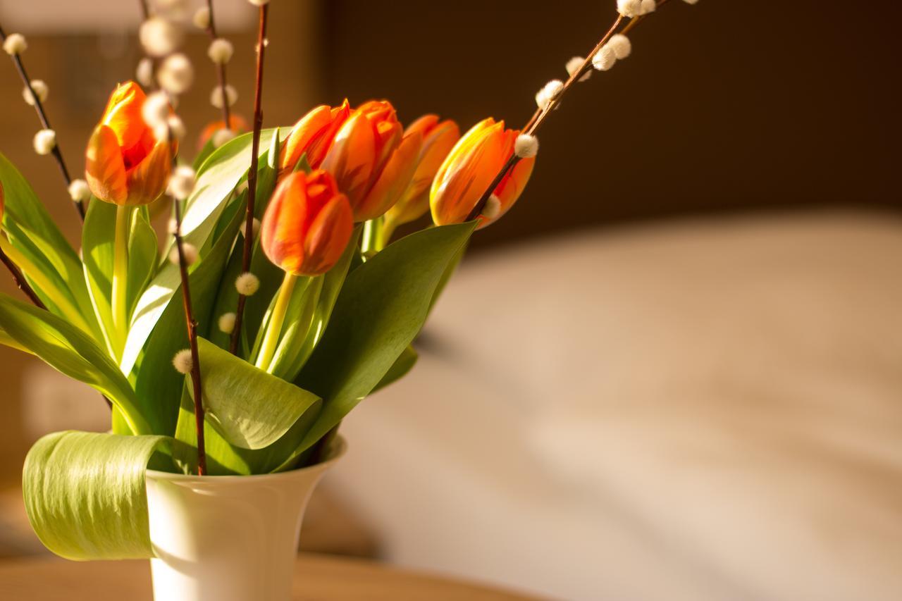 Hotel Heldt 巴特皮尔蒙特 外观 照片